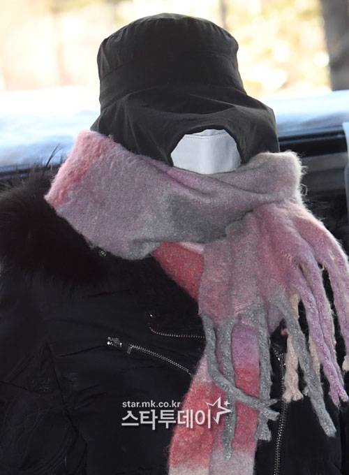 황하나가 마약 투약 혐의로 또 구속됐다. 사진ㅣ유용석 기자