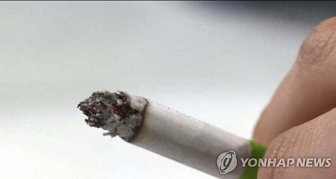 담배 [연합뉴스TV 제공]
