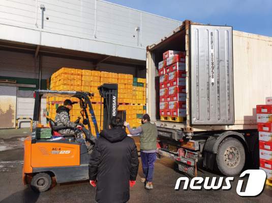 예산농산물유통센터(APC)에서 러시아로 보낼 예산황토사과를 컨테이너에 싣고 있다.(예산군 제공) /© 뉴스1