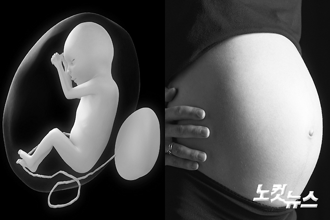 스마트 이미지 제공