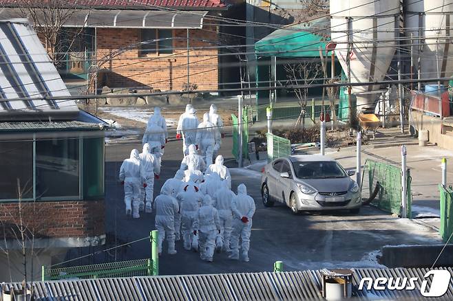 조류인플루엔자(AI) 방역당국 관계자들이 6일 세종시 부강면에 위치한 한 양계농장에서 전날 밤 고병원성 AI가 확진 판정이 내려짐에 따라 살처분 작업을 하기 위해 이동하고 있다. 방역당국은 AI확진 농가 반경 500m 위치한 10곳도 추가 살처분 할 계획이다. 2021.1.6/뉴스1 © News1 장수영 기자
