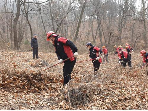 경기도가 산불전문예방진화대 1005명 운영한다./사진=경기도