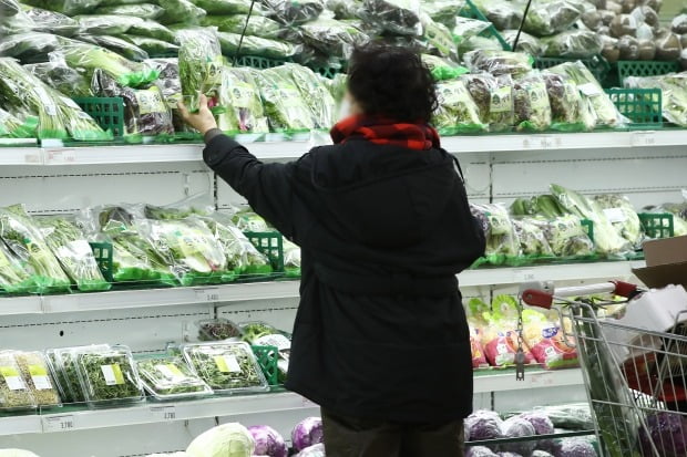 지난 10일 서울 시내 한 대형마트 신선식품 판매대의 모습./사진=연합뉴스