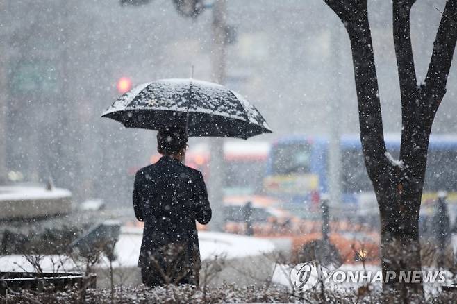 눈 내리는 서울 (서울=연합뉴스) 진연수 기자 = 눈이 내린 12일 오후 서울 중구 명동 일대에서 시민들이 발걸음을 옮기고 있다. jin90@yna.co.kr