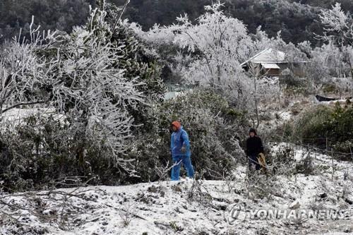 지난 1일 베트남 라오까이성에서 주민들이 눈 내린 길을 걷고 있다. [이미지출처=연합뉴스]