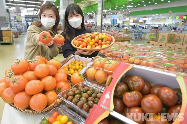 12일 서울 서초구 청계산로 하나로마트 양재점에서 직원들이 면역력 강화에 좋은 다양한 토마토를 소개하고 있다.