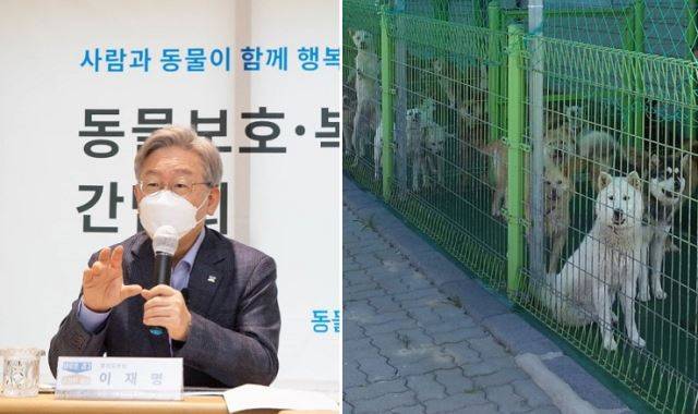 이재명 경기도지사. 경기도청 및 연합뉴스