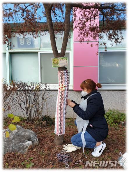 나무 겨울 웃 입히기 현장.