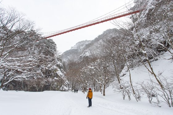 지난 1월 6~7일 많은 눈이 내린 전북 순창 강천산 군립공원. 지난해 12월 말부터 누적 적설량이 30cm를 훌쩍 넘는다.