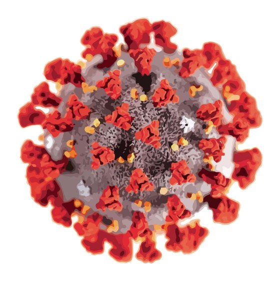 RNA바이러스인 코로나19 바이러스는 수많은 돌연변이를 일으킨다. 이 중 영국발 변이처럼 전파력이 강해 생존에 적합한 변이가 살아남는다. 중앙일보