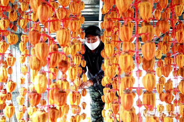 의령덕실대봉곶감