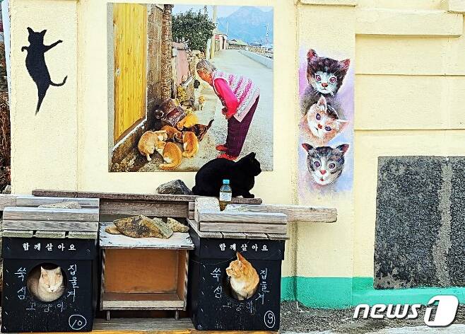전남 고흥군 애도(쑥섬)에 설치된 벽화. 사진 동물구조119 제공 © 뉴스1