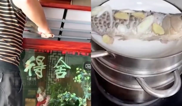 스좌장에서 식자재가 떨어지자 한 시민은 4000위안(약 67만원)짜리 관상어를 요리해 먹기도 했다. 사진=웨이보