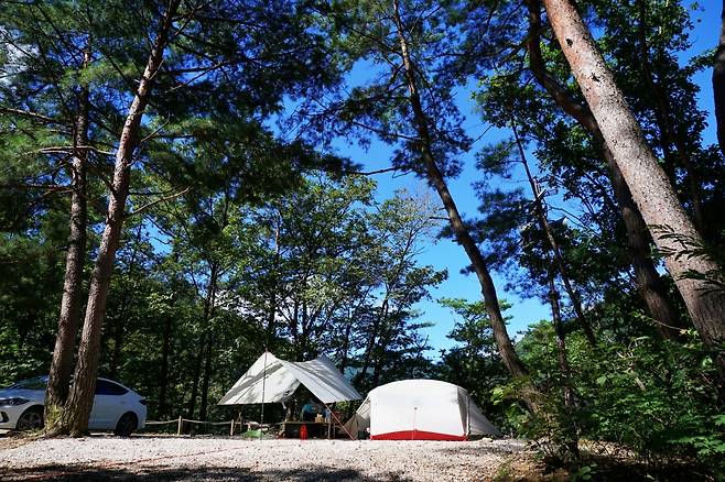 Meonguri Valley Camping Site in Pocheon, Gyeonggi Province (Korea Tourism Organization)