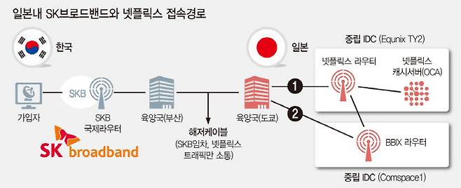 ▲일본대 SK브로드밴드와 넷플릭스 접속경로 [이데일리 문승용 기자]