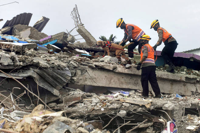규모 6.2의 강진이 발생한 인도네시아 술라웨시섬에서 17일(현지시간) 경찰이 수색견을 동원해 지진으로 무너진 건물 잔해 아래 깔린 생존자를 찾고 있다. /AP연합뉴스