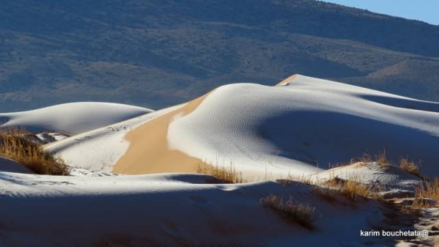 사진 작가 Karim Bouchetata 본인 제공