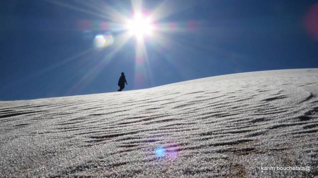 사진 작가 Karim Bouchetata 본인 제공