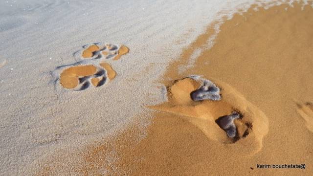 사진 작가 Karim Bouchetata 본인 제공