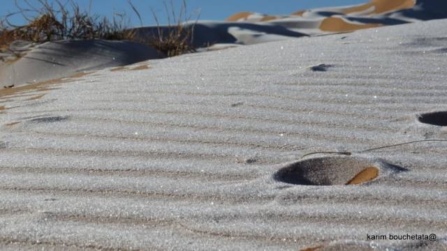 사진 작가 Karim Bouchetata 본인 제공