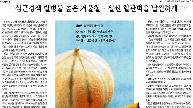 2019년 1월 15일 조선일보 지면. 건강식품업체 '씨스팡'의 제품을 홍보하는 기사형 광고가 한 면 전체를 차지했다.