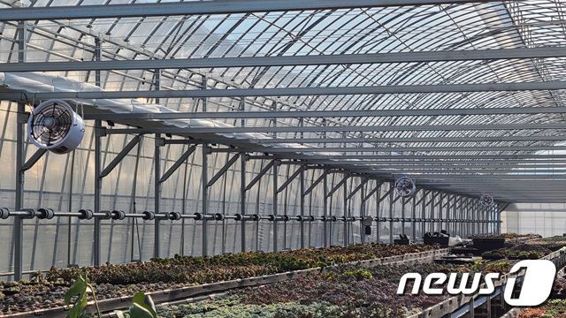 용인시의 한 화훼농가에 시 지원으로 순환팬을 설치한 모습.(용인시 제공) © News1