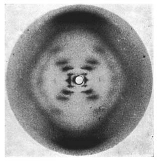 이중나선 구조 발견에 결정적 힌트가 된 ‘51번 사진’. 1952년 로절린드 프랭클린이 킹스 칼리지 런던에 있는 존 랜달의 연구소에서 근무할 무렵 촬영한 X선 회절 사진이다. 위키피디아 제공