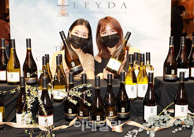 모델들이 지난 21일 서울 중구 소공동에 위치한 롯데백화점 본점 지하1층에서 ‘레이다의 새로운 레인지 와인’을 홍보하고 있다. (사진=롯데백화점)