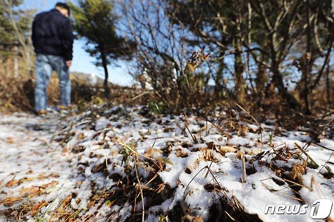 3일 오후 강원도 횡성군 둔내면 태기산 정상 부근에 눈이 쌓여 있다. 2020.11.3/뉴스1 © News1 박정호 기자