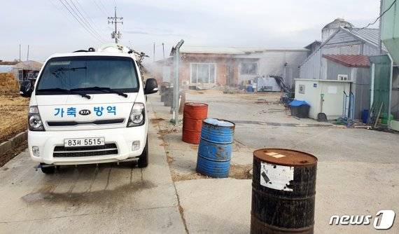 조류인플루엔자 방역./사진=뉴스1