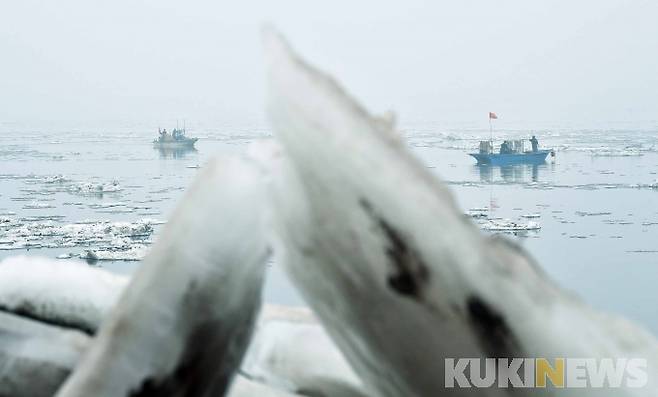 서해를 바로 눈앞에 두고 있는 한강 하류, 허가 없이는 배도 띄울 수 없는 민통선 안쪽 한강의 최북단이다. 1월 중순을 넘어서면서 유빙 사이로 제철 맞은 숭어잡이가 한창이다.