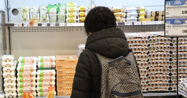 서울시내 한 대형마트에서 소비자가 계란을 살펴보고 있다./연합뉴스