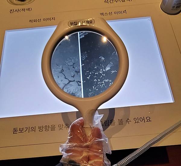 체험교구 옆에는 비닐장갑과 손 소독제가 마련돼 있었다.