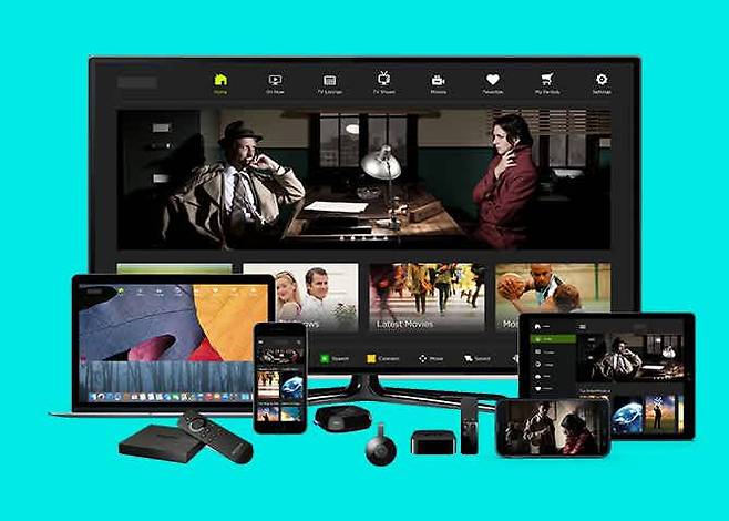 OTT 서비스는 다양한 기기를 통해 간편히 시청할 수 있어야 한다 (제공=브라이트코브)