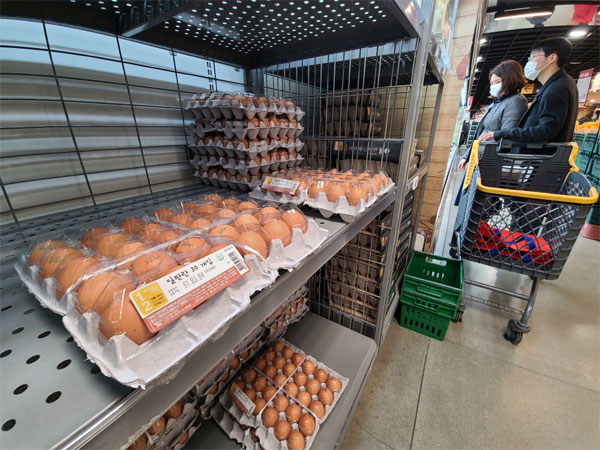 24일 경기도의 한 대형마트에서 고객들이 계란을 구매하고 있다. 조류인플루엔자(AI)로 인한 공급량 부족으로 이마트와 이마트 트레이더스, 홈플러스는 30구짜리 달걀을 1인당 1판까지만 구매할 수 있도록 제한했다. [김호영 기자]