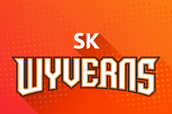 프로야구 SK 와이번스 구단이 25일 제기된 매각설에 대해 말을 아꼈다. /사진=SK 와이번스 공식 홈페이지