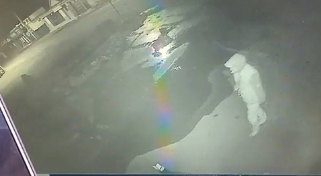 사건 직후 도주한 A씨 모습이 포착된 CCTV 영상 캡처. 독자 제공