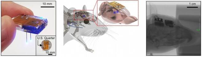 정재웅 KAIST 전기및전자공학부 교수팀은 김정훈 연세대 의과대학 교수팀 개발한 '뇌 완전 이식형 무선 광유전학 기기(왼쪽)'와 이 기기를 쥐의 뇌에 이식한 상태를 나타내는 개념도(가운데), X-ray 사진(오른쪽). KAIST 제공