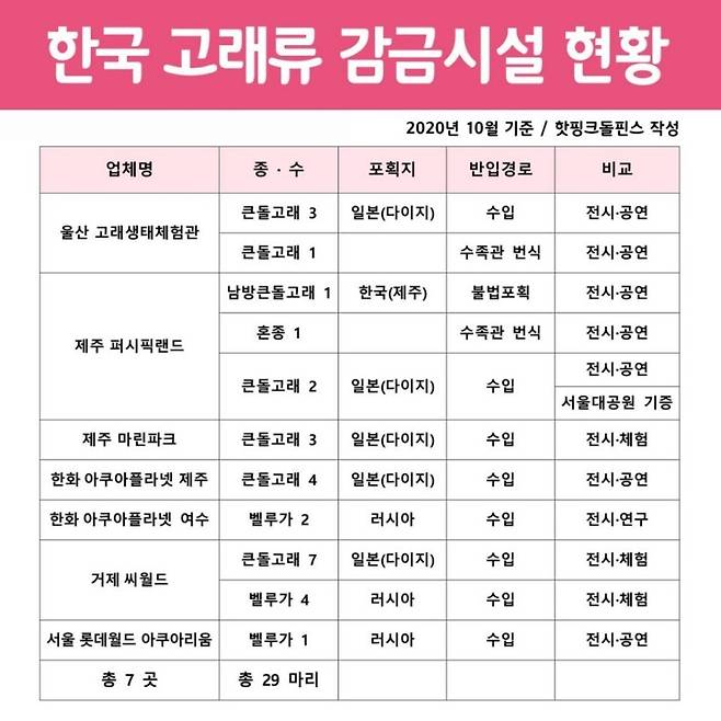 2021년 1월 기준 한국 고래류 사육시설 현황. 핫핑크돌핀스 제공