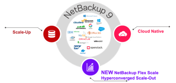 베리타스 '넷백업9'