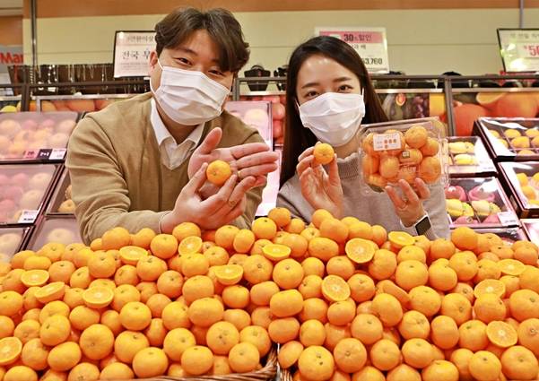 1월 27일, 서울시 중구 봉래동에 위치한 롯데마트 서울역점에서 송하숙 롯데마트 과일MD(상품기획자, 왼쪽)와 모델이 '미니 만감류 제주 미니향'을 홍보하고 있는 모습. / 롯데마트 제공