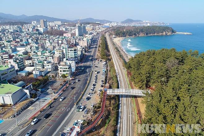 강원 동해시 영동선 감추해변 입구에 개통된 보도육교 전경.(사진=동해시 제공)