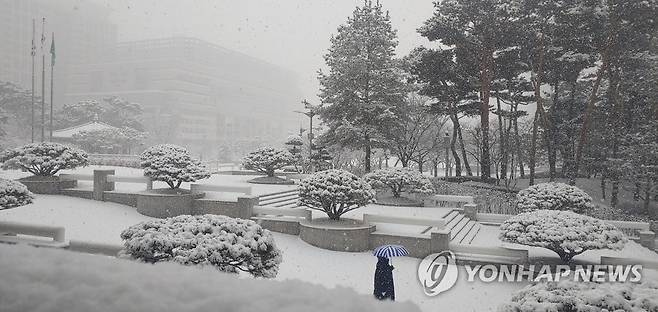 눈 쌓인 대전시청 남문 광장 [연합뉴스 자료사진]