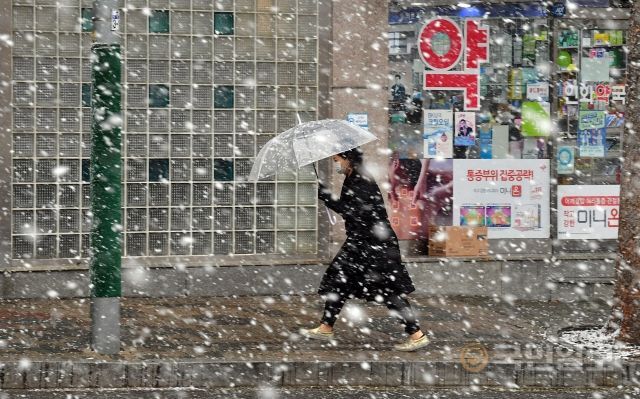 28일 눈이 오자 한 행인이 우산을 쓰고 걷고 있다. 대설특보와 강풍특보가 오후에 발효된 예정이어서 시민들의 대비가 필요하다.