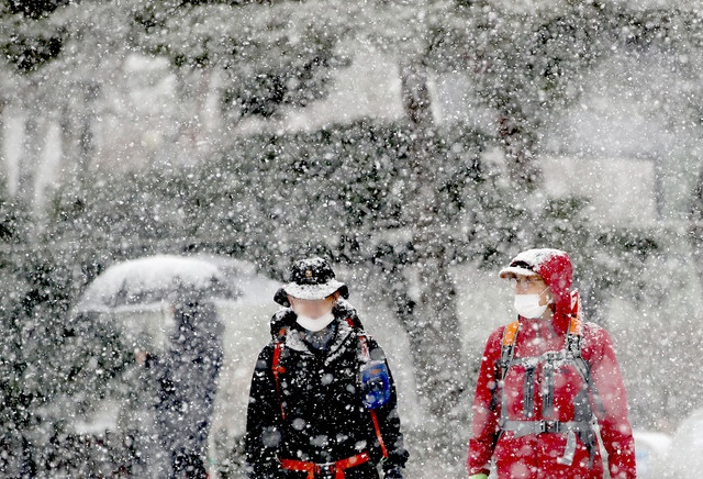서울에 대설주의보가 발효된 28일 오전 서울 종로구 청와대 사랑채 앞에서 시민들이 눈을 맞으며 걸어가고 있다. 뉴시스