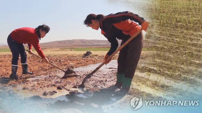 북한 식량난 (CG) [연합뉴스TV 제공]