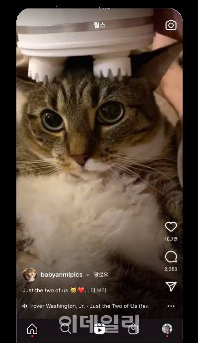 릴스 영상. 인스타그램 제공