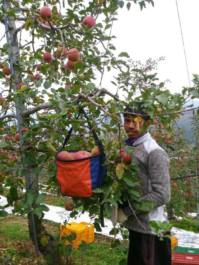 지난해 2월 15일 경남 밀양 사과농장에서 사망한 고(故) 림부 얌쿠마르(33)의 생전 모습. 얌쿠마르씨는 2년 9개월만에 이주노동자의 삶을 마감했다. 사진=유족인 라주쿠마(30)씨 제공