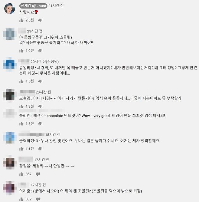 ▲ 신세경 유튜브 댓글. 출처ㅣ신세경 유튜브 캡처