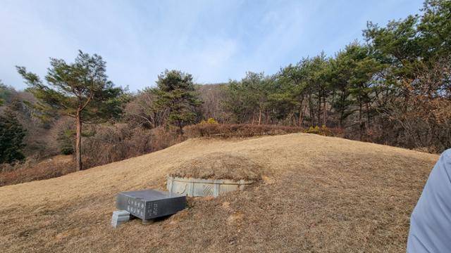 12일 시간차 성묘를 하고 있는 박씨 가족들 모습. 박모씨 제공